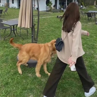 无名的电影